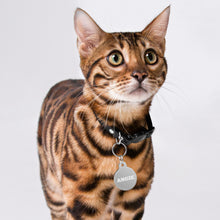 Load image into Gallery viewer, Angie Engraved Key Chain/Pet ID Tag