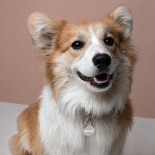Load image into Gallery viewer, Angie Engraved Key Chain/Pet ID Tag