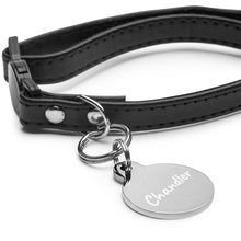 Load image into Gallery viewer, Chandler Engraved Key Chain/Pet ID Tag