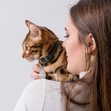 Load image into Gallery viewer, Chandler Engraved Key Chain/Pet ID Tag