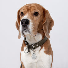 Load image into Gallery viewer, Chandler Engraved Key Chain/Pet ID Tag