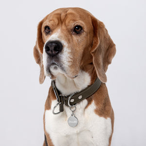 Chandler Engraved Key Chain/Pet ID Tag